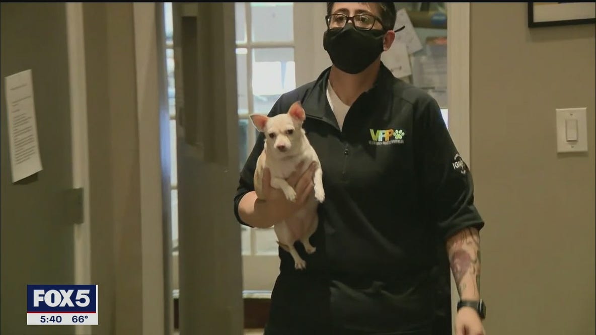 Vets are busy during pandemic