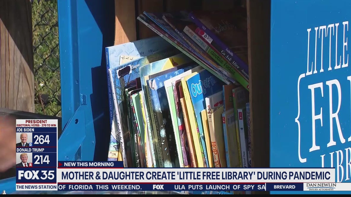 Mother, daughter create 'little free library' during pandemic