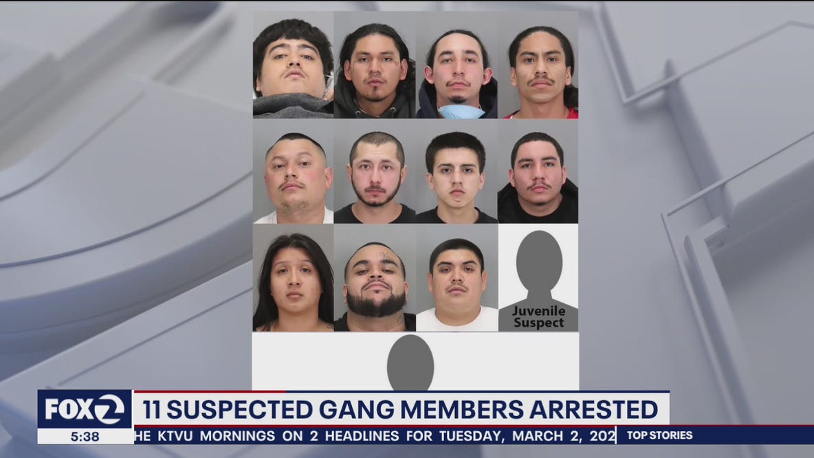 Suspected gang members targeted gardeners