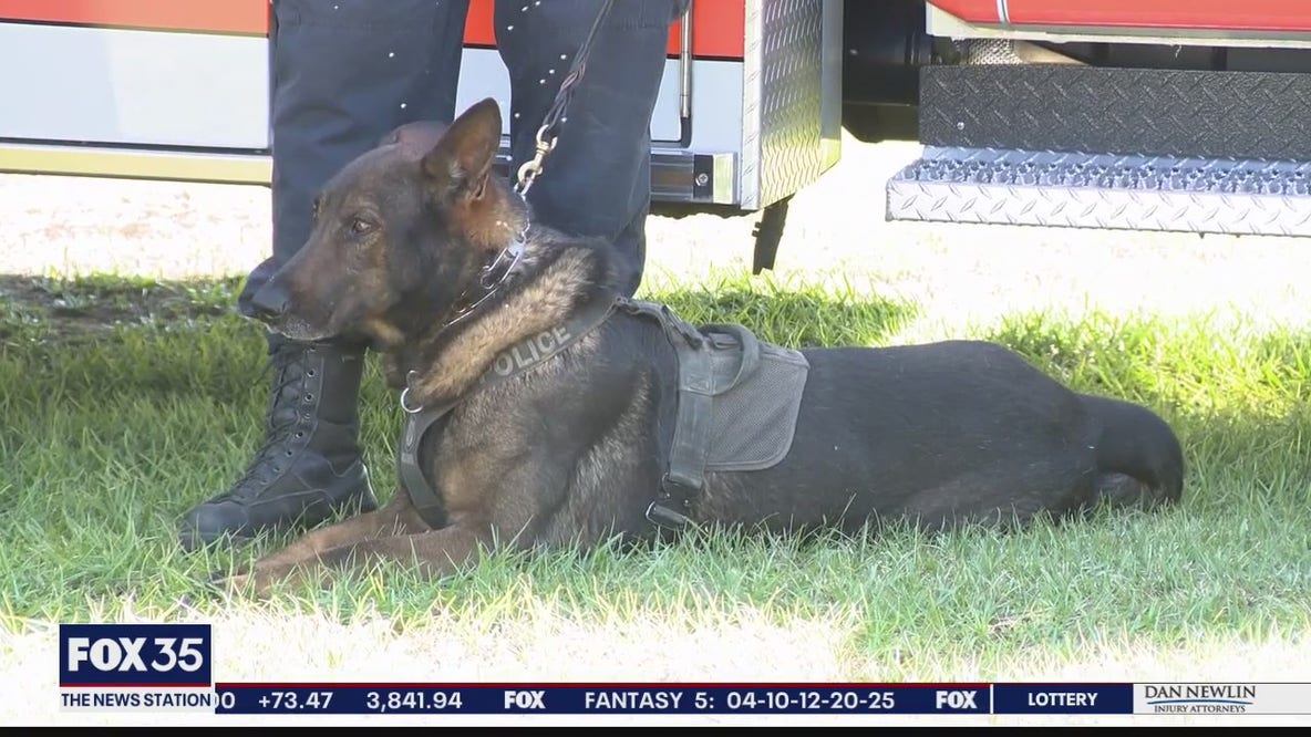 AG, law enforcement pushing legislation that protects Florida police K-9s