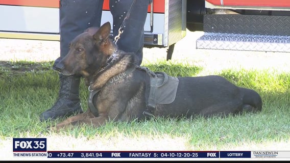 AG, law enforcement pushing legislation that protects Florida police K-9s