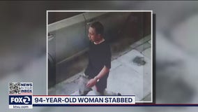 Man who stabbed 94-year-old Asian American woman enters not guilty plea