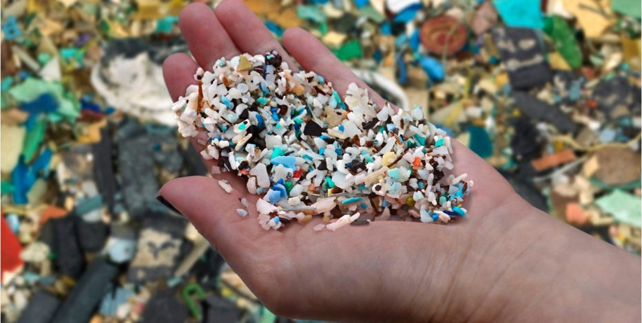 EPA halts sale of pesticide DCPA due to risks to unborn babies