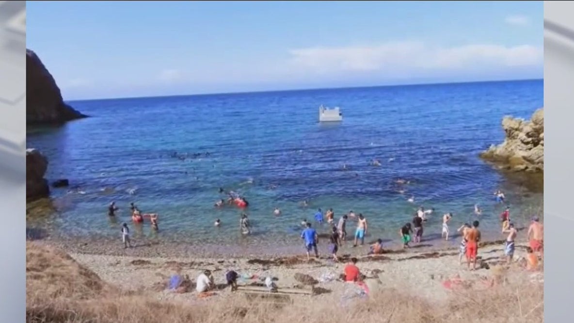 Boy bitten by shark off Catalina Island