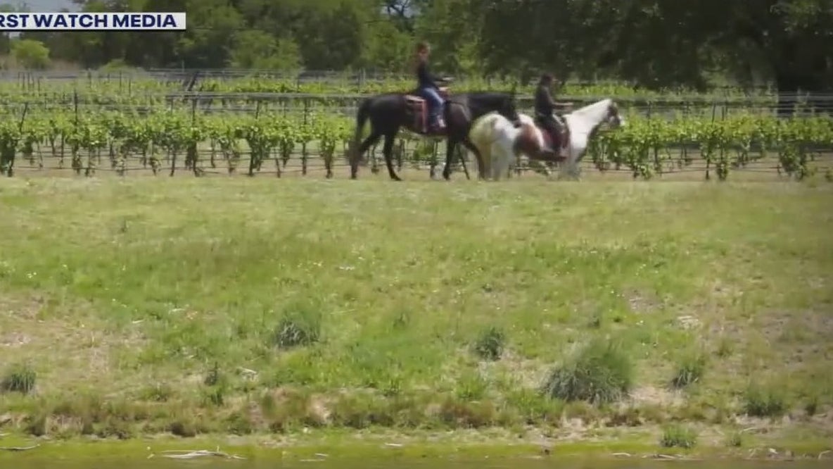 Flat Creek Estate Winery and Vineyard in Marble Falls