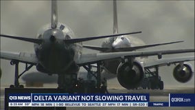 Delta variant not slowing travel
