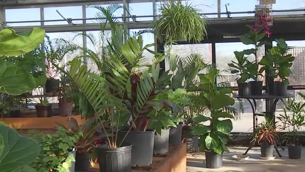 Community Gardens Home & Garden Show in Bastrop