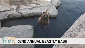 You're invited! Minnesota Zoo's Beastly Bash heads online