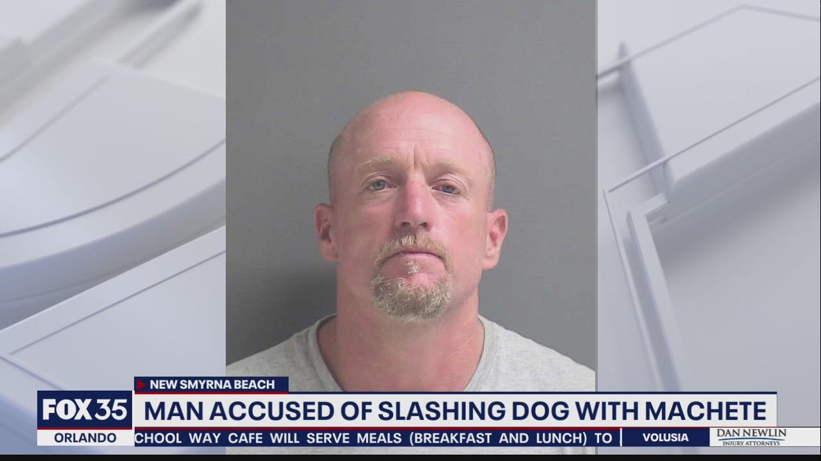 Deputies: Man arrested for slashing dog with machete