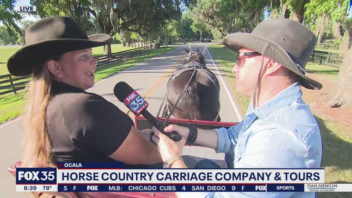 Horse Country Carriage Company and Tours