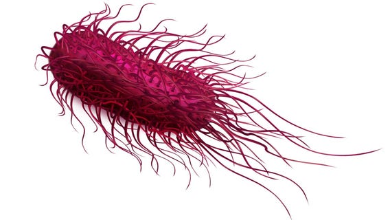 Eggs recalled after salmonella outbreak in multiple states