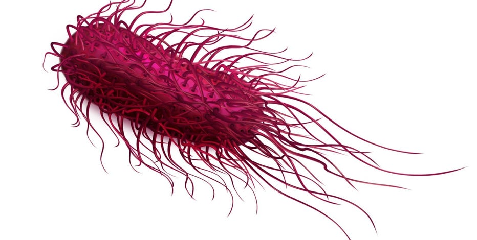 FDA raises Costco egg recall to highest risk level over salmonella fears