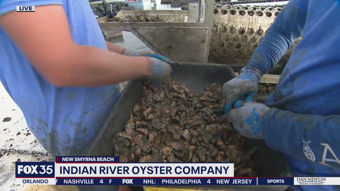 Indian River Oyster Company