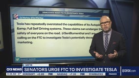 Senators urge FTC to investigate Tesla