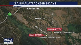 2 animal attacks in 8 days