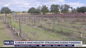 Florida's wine industry struggling