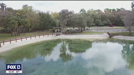 Dip into old Florida at Lithia Springs Conservation Park