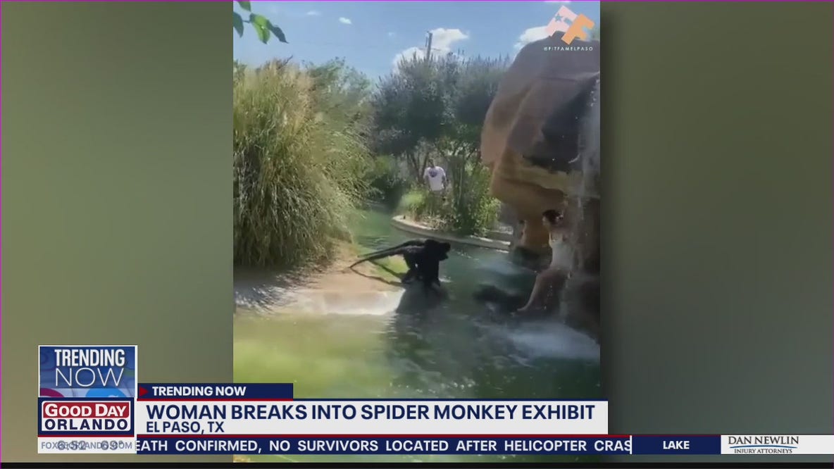 Woman breaks into spider monkey exhibit at Texas zoo