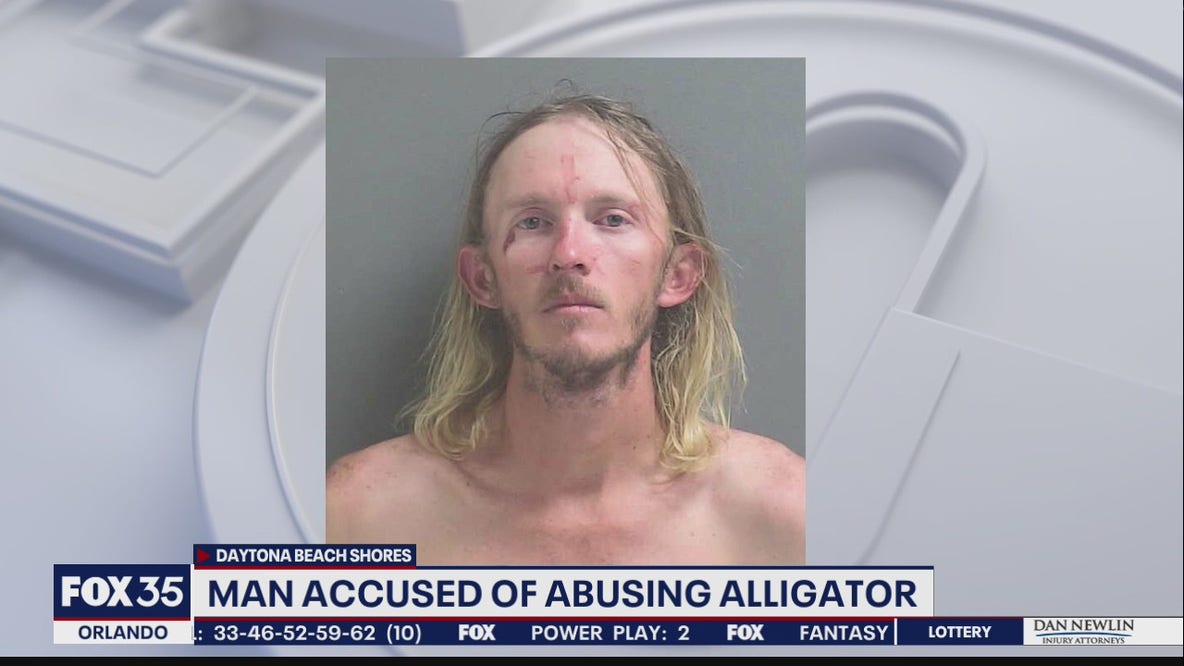 Florida man accused of abusing alligator
