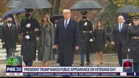 Trump makes appearance on Veterans Day
