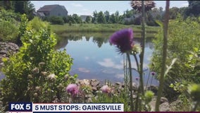 FOX 5 Zip Trip Gainesville: 5 Must Stops!