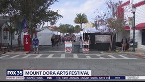 Mount Dora Arts Festival draws crowd with safety first