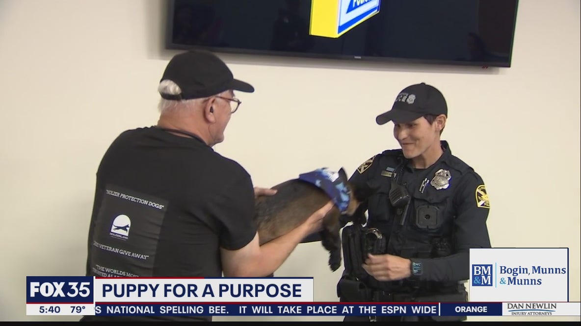 Puppy for a purpose