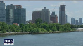 Residents, activists push to save trees on Roosevelt Island