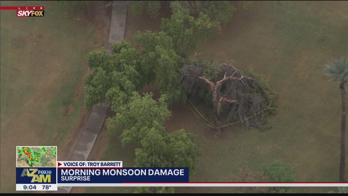 Monsoon storms cause damage across the Valley