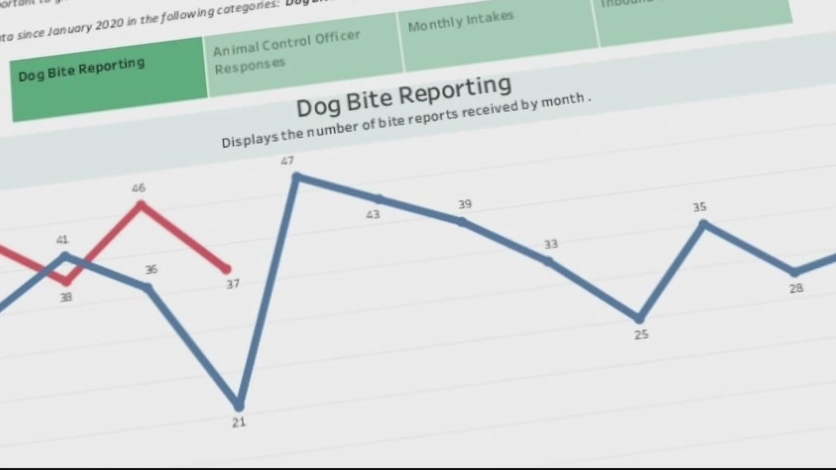 Dog attacks on the rise in Detroit but most cases don't involve strays