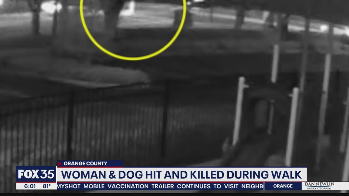 Woman, dog hit and killed during walk