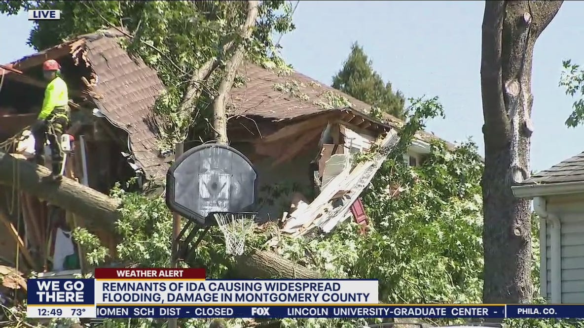 Woman killed by falling tree among 3 storm related deaths in Montgomery County