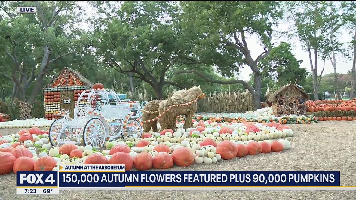 Pumpkins return to Dallas Arboretum for fall festival