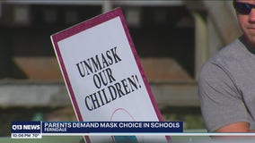 Dozens of parents rally against masks in school in Ferndale