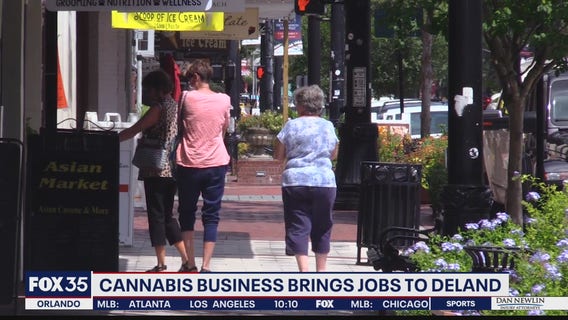 Major cannabis producer choses DeLand for Florida headquarters