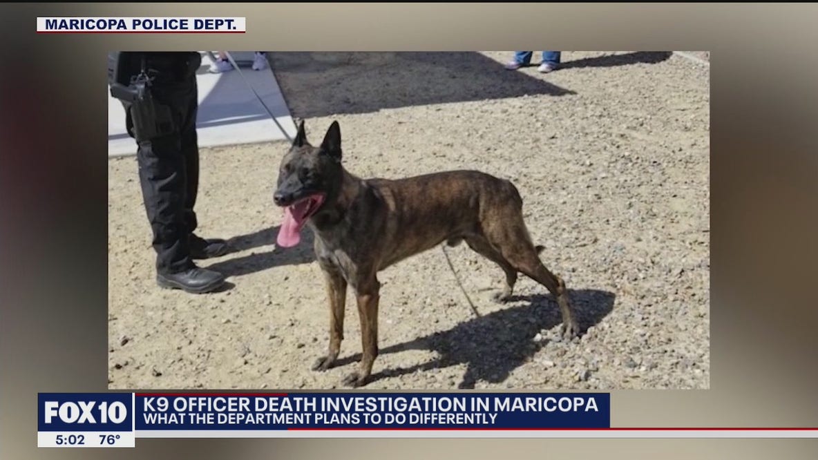 Changes in the Maricopa Police Department following K-9 death