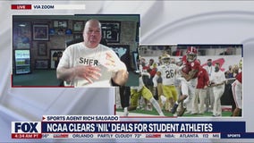 NCAA adopts interim name, image, likeness policy | NewsNOW from FOX
