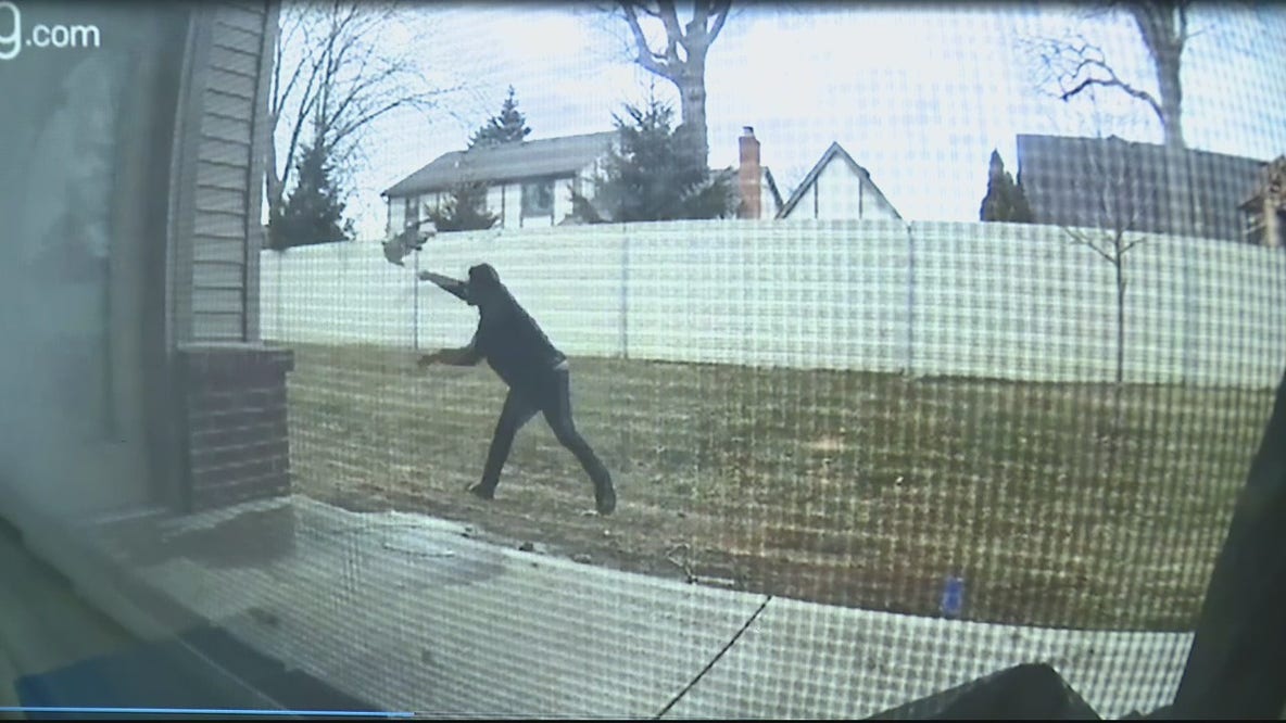 Doorbell camera captures man throwing dog in Utica