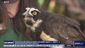 What's new at the Woodland Park Zoo in Seattle