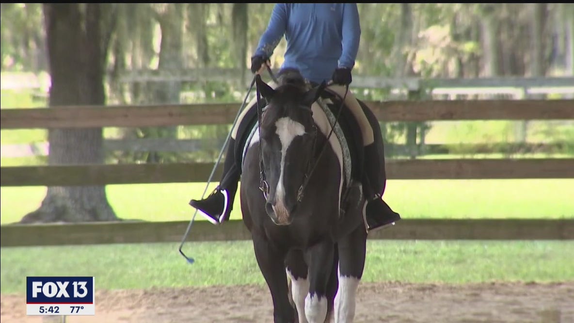 Accomplished para rider aims for Olympics
