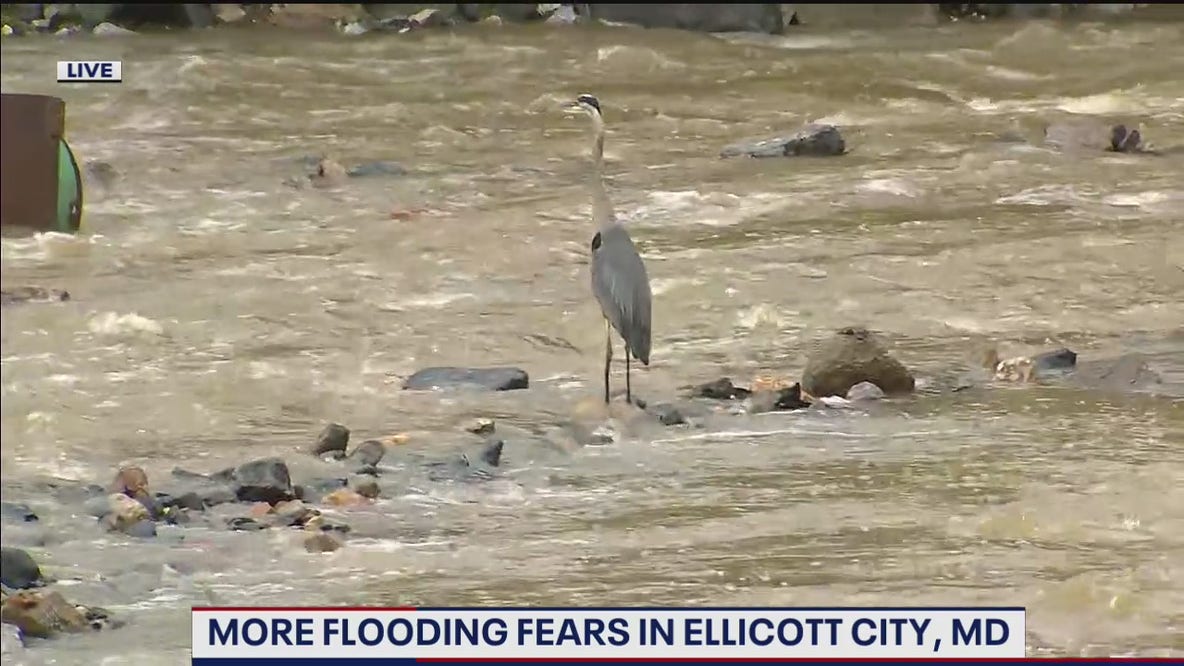 Flooding concerns in Ellicott City after heavy rain triggers activation of emergency flood warning system