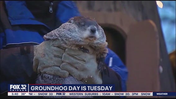Woodstock officials hope Groundhog Day celebrations will bring levity to trying times