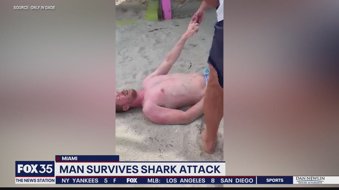 Man survives shark attack