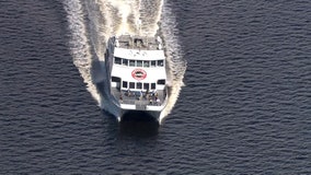 Cross-Bay Ferry chauffeurs locals between Tampa, St. Pete