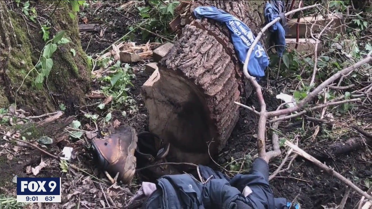 Man survives for 4 days trapped under fallen tree in western Minnesota(02)