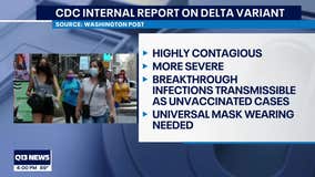CDC documents claim delta variant is contagious as chicken pox