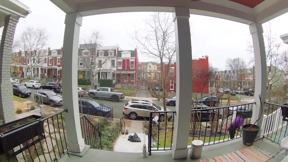 Driver hops curb in stolen car, nearly hitting woman, dog on sidewalk