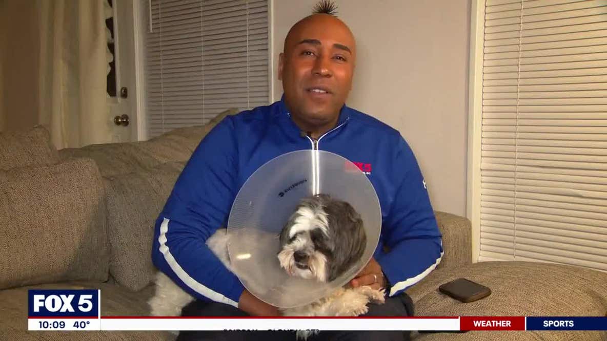 PetsMart groomer accused of cutting part of dog's tail off