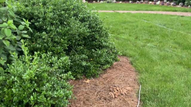 WATCH: UPS driver dives into fun on Slip ‘N Slide