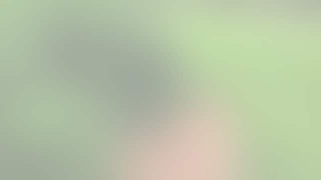 WATCH: UPS driver dives into fun on Slip ‘N Slide